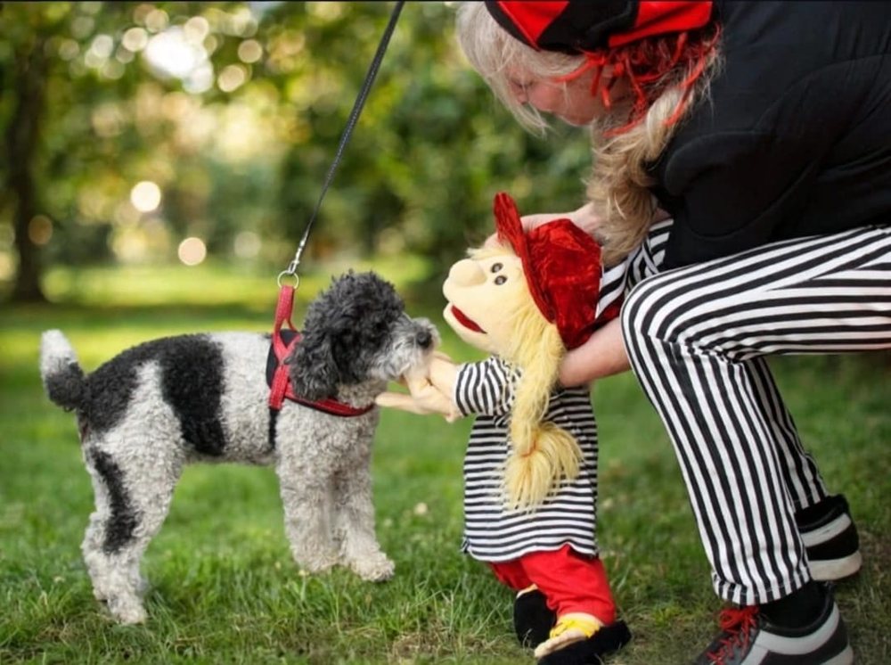 Handpuppe begrüßt einen Hund