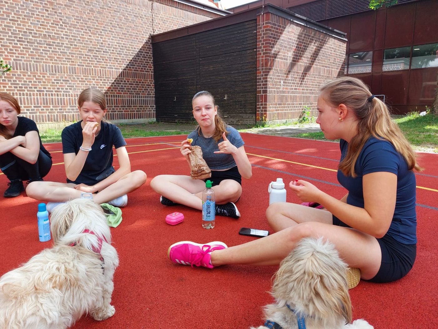 Jonglierkurs: Pause mit den Hunden
